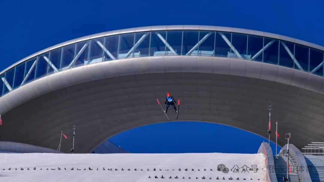 国际雪联跳台滑雪洲际杯